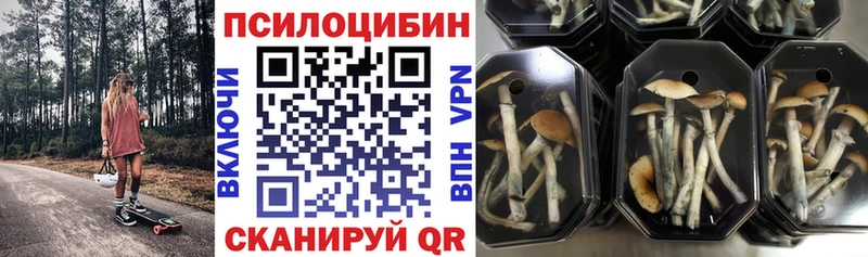 Галлюциногенные грибы MAGIC MUSHROOMS  что такое наркотик  Спасск-Дальний 